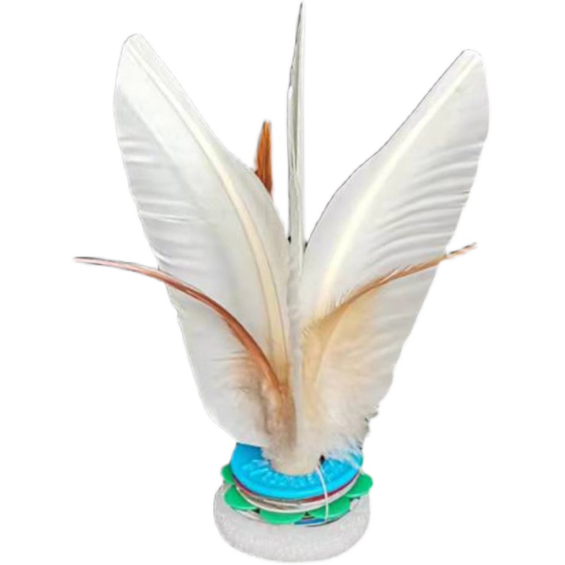 【新大众体育巡礼】快快快大家都来踢毽子(图1)